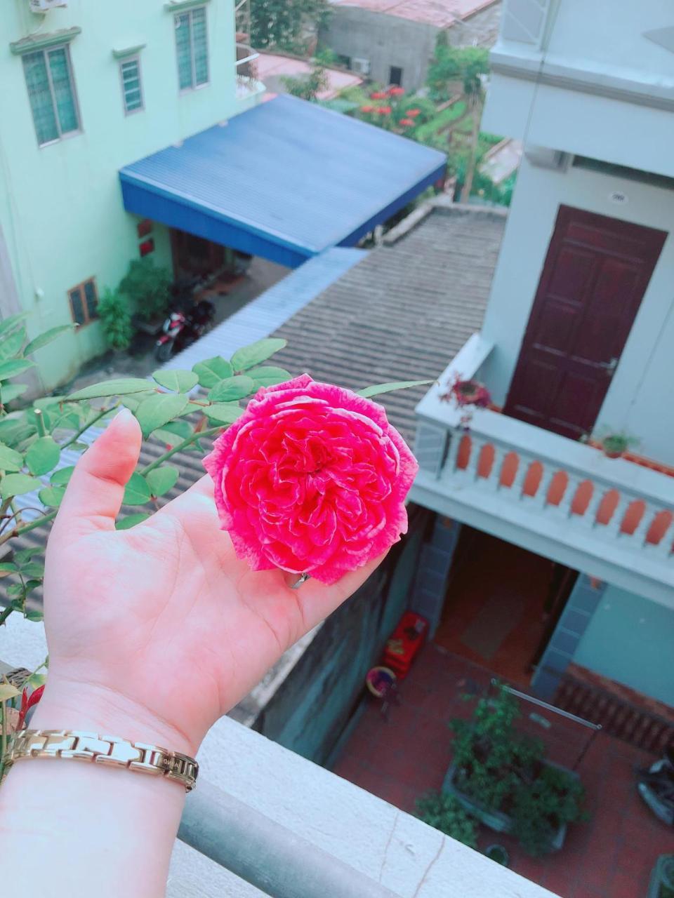 Pi'S Homestay Catba Dong Khe Sau Экстерьер фото
